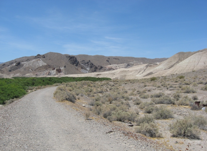 Desert Landscape
